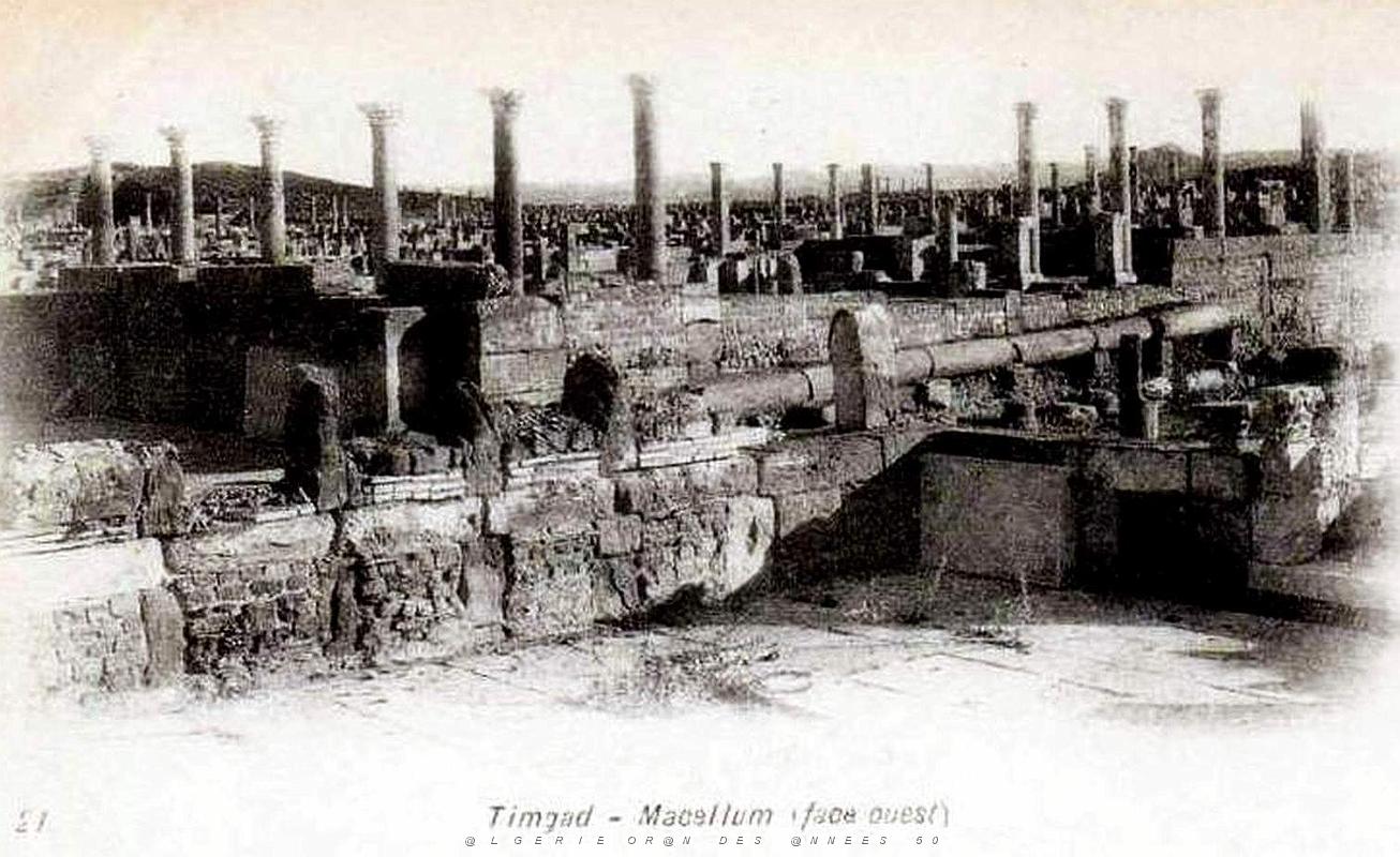 Timgad 039.jpg